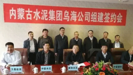 冬去春來，水泥企業(yè)“抱團取暖”，是要干啥