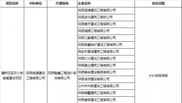 陜西134家串標(biāo)被通報(bào)，追究刑事責(zé)任！