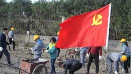 寧波海螺水泥公司黨員突擊隊 “造綠色廠區(qū)，建美麗企業(yè)”