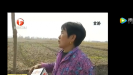 該地區(qū)農(nóng)田整治被揭搞豆腐渣工程，混凝土一捏粉粉碎！