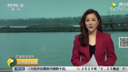 采砂團(tuán)伙頭目潛伏治沙辦!一晚暴利十幾萬(wàn)!