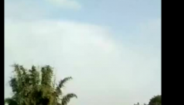 沒貨了!預(yù)約買水泥!水泥價格將向1000元/噸發(fā)起沖鋒!