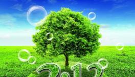 這家公司組織廣大青年參加植樹活動(dòng)