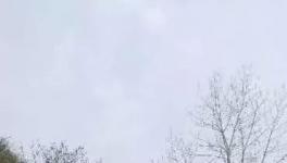 這家水泥廠破壞青山、污染環(huán)境何時(shí)休？