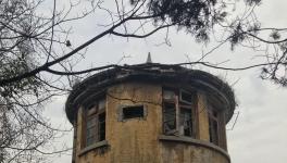 江南水泥廠被指保護不力，回應(yīng)稱原因復(fù)雜