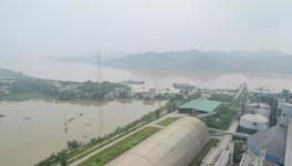 7人死亡9人失蹤！多省緊急發(fā)文！800多家水泥廠出貨量暴跌！