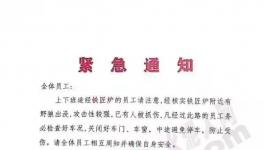 狼來了！這家水泥廠已有員工被抓傷！