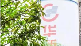 人與自然和諧相處！水泥廠迎來神秘訪客！