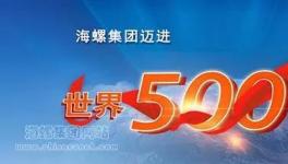 海螺集團邁進世界500強引起熱烈反響！