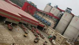 “頂風(fēng)作案”！紅獅水泥又出事了！