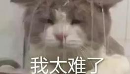 國(guó)慶節(jié)的催款心聲，讓數(shù)萬(wàn)水泥人不再沉默！