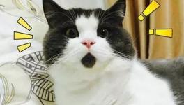 美！太美了！這些花園水泥廠您去過嗎！