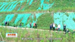 點贊！這一地區(qū)礦山生態(tài)環(huán)境恢復治理近200公頃！