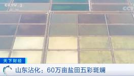 1噸海水超千元！廢料還能造水泥！