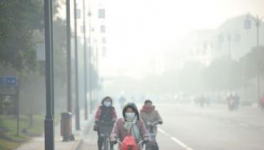 水泥停產(chǎn)！工地放假！物流停運！“春運”提前來了！