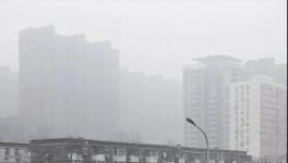 停工停產(chǎn)一個(gè)月！霧霾還是爆表！3000多家水泥企業(yè)“冤不冤”?