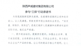 陜西聲威建材集團(tuán)有限公司參與“三?！毙袆映兄Z書
