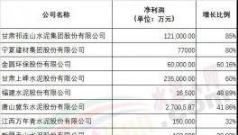 行業(yè)利潤(rùn)創(chuàng)歷史新高！各大水泥集團(tuán)2019年業(yè)績(jī)發(fā)布！