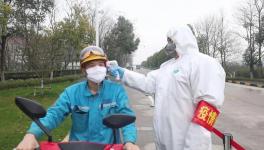 視頻：無(wú)人駕駛調(diào)試、大型設(shè)備組裝......蕪湖海螺復(fù)產(chǎn)！