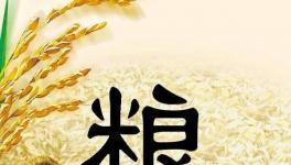 全球糧食市場(chǎng)異動(dòng)，每個(gè)人都要提前應(yīng)對(duì)了！