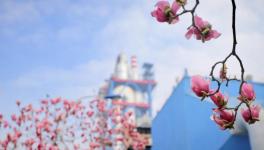 春色滿廠區(qū)，花園水泥廠來了??！