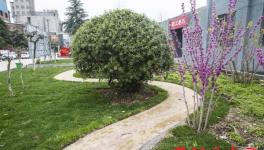 豫南水泥有限公司轉(zhuǎn)型發(fā)展紀(jì)實