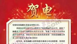 又是海螺水泥！創(chuàng)造世界水泥行業(yè)奇跡！