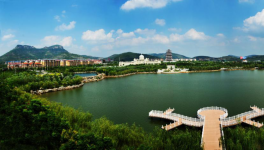 山東省棗莊市51條水泥立窯生產(chǎn)線全部關(guān)停！