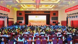 中建材在全球承接379條水泥生產(chǎn)線、市場占有率超過65%！