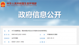 生態(tài)環(huán)境部出臺意見嚴格審查“兩高”項目！