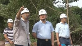 南方水泥上半年?duì)I收3.65億元！新項(xiàng)目推進(jìn)中！