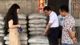 市場上這7個(gè)主要水泥品牌被質(zhì)量抽檢！