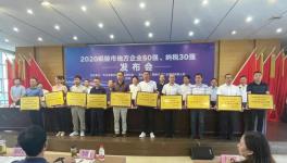 銅陵上峰:連續(xù)9年上榜“地方企業(yè)50強(qiáng)”！