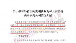 海螺創(chuàng)業(yè)擬對(duì)外轉(zhuǎn)讓這兩家公司100%股權(quán)！