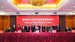 火爆！中建材、海螺、華新、紅獅、集體上項(xiàng)目！