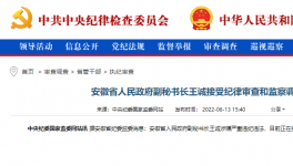 突發(fā)！海螺原董事長被查！