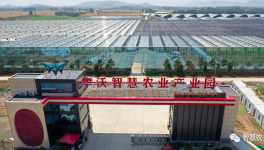 巧用水泥余熱，工業(yè)轉(zhuǎn)型反哺農(nóng)業(yè)！