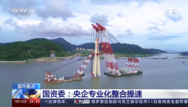 央視新聞報(bào)道：中國(guó)建材專業(yè)化整合成效經(jīng)驗(yàn)交流！