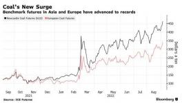 瘋了！這種原料價格破紀(jì)錄！水泥廠“哭了”！