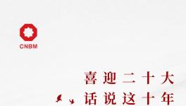 喜迎二十大:話說這十年，專業(yè)化整合深入推進(jìn) 產(chǎn)業(yè)布局不斷優(yōu)化