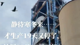 全停！最長200天！20個省水泥廠停產(chǎn)！