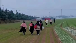 反撲！多省工地停工！水泥廠停發(fā)！商混站“告急”！