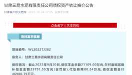 公告！多家水泥廠被賣！