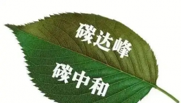 縫出匠心！這家環(huán)保企業(yè)脫穎而出！市場(chǎng)占有率名列前茅！