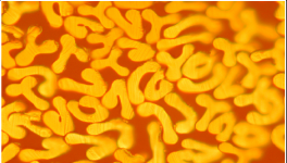 對(duì)比明顯，這個(gè)材料完勝！最長可用8年，節(jié)約電費(fèi)百萬！