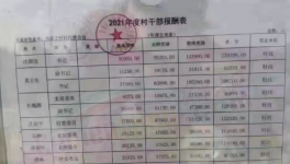 工資曝光！村長“秒殺”水泥廠高管！