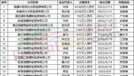 瘋狂！“上下”通吃！海螺連續(xù)成立50多家公司！