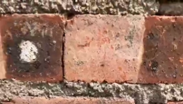 氣憤！“山寨”水泥！“假水泥”泛濫！