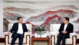 太慘了！大跌235元/噸！水泥產(chǎn)量創(chuàng)10年最大跌幅！