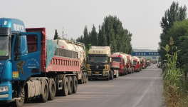 ?水泥廠又排隊(duì)了！原因竟是……